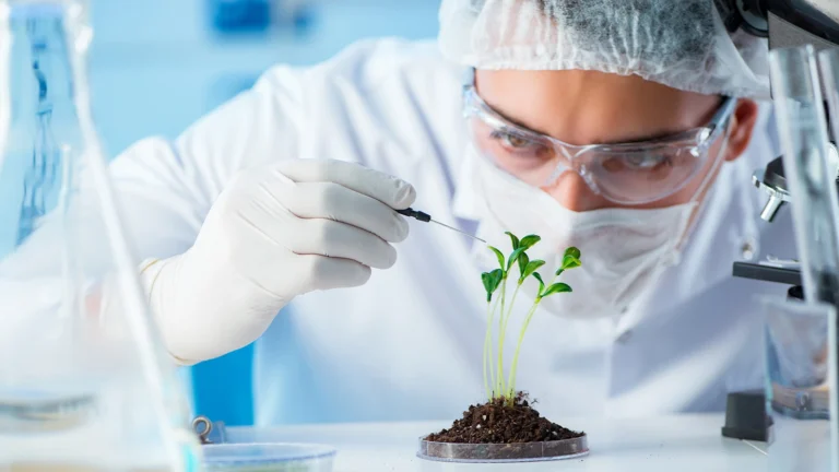 Biotechnology Courses After 12th in India 2026: Complete Guide to BSC, BTech, Integrated & Other Programs - FindMyCollege